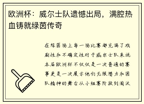 欧洲杯：威尔士队遗憾出局，满腔热血铸就绿茵传奇